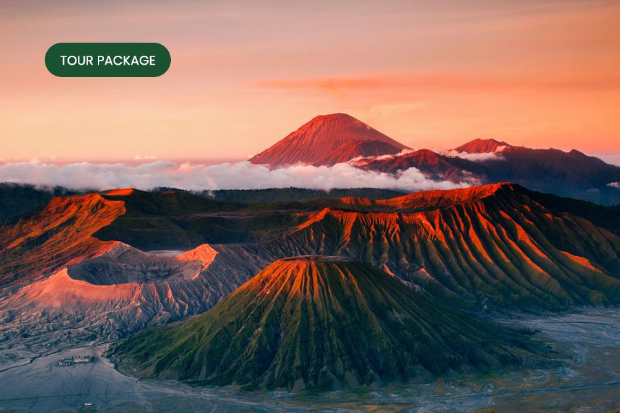 paket tour - Midnight Trip Sunrise Bromo paket tour - Midnight Trip Sunrise Bromo